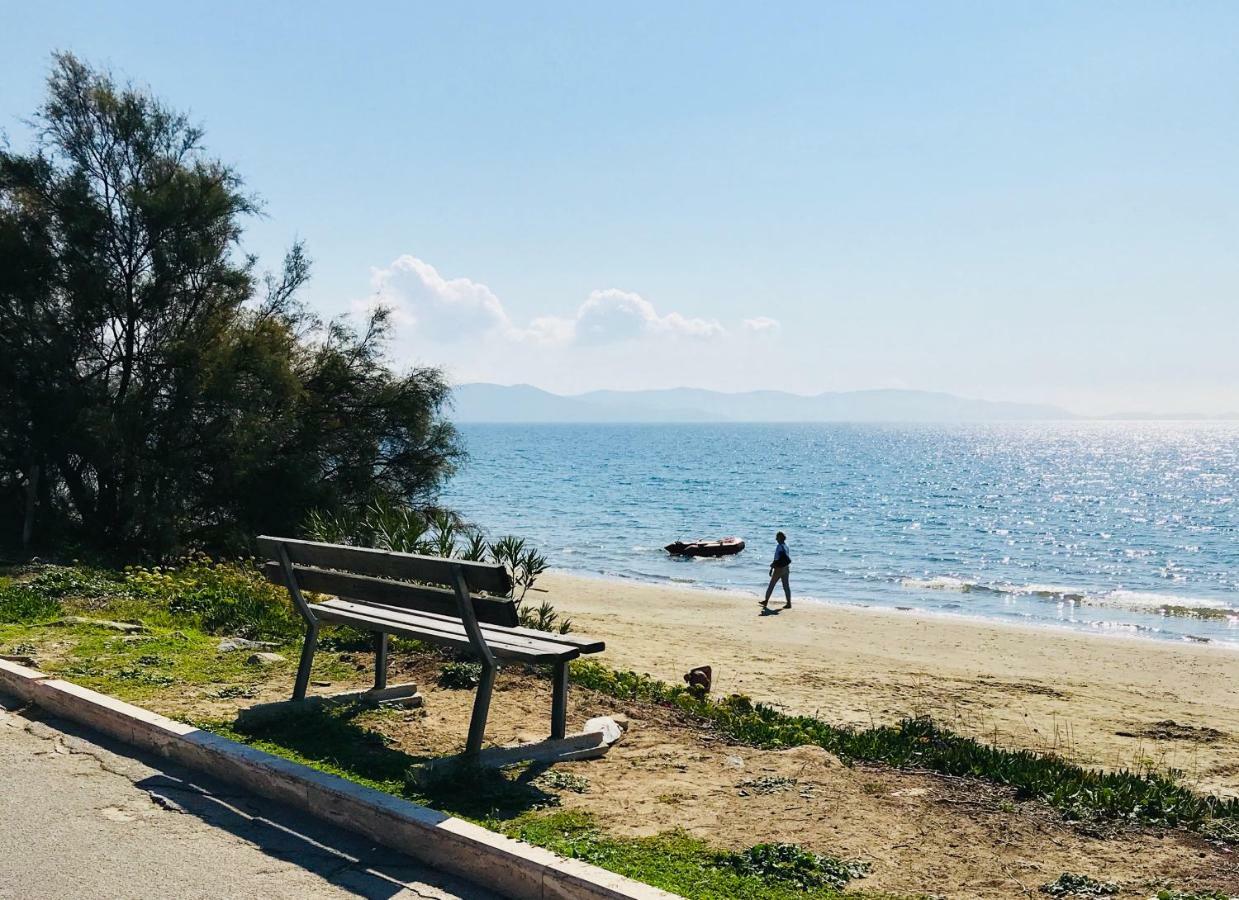 Holiday Home Arzilli フォッローニカ エクステリア 写真